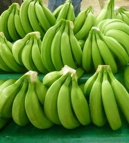 South African Fresh Apples of all varieties