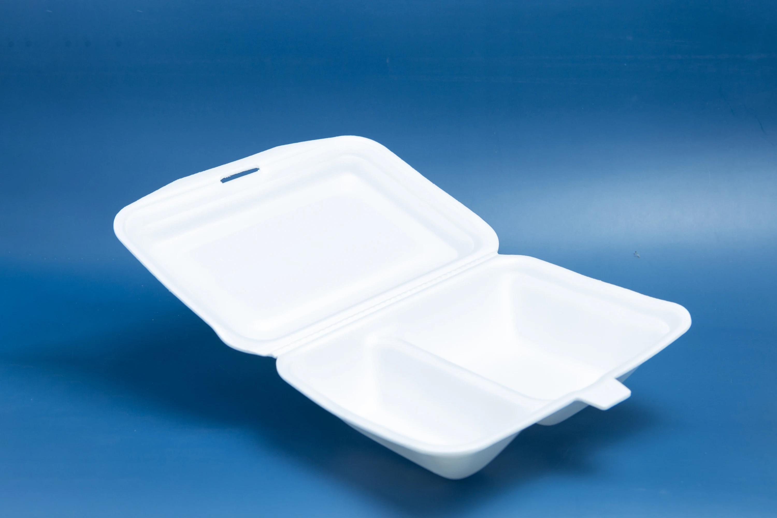 Disposable Partition Food Containers Food Container Supplier Ps Foam ...