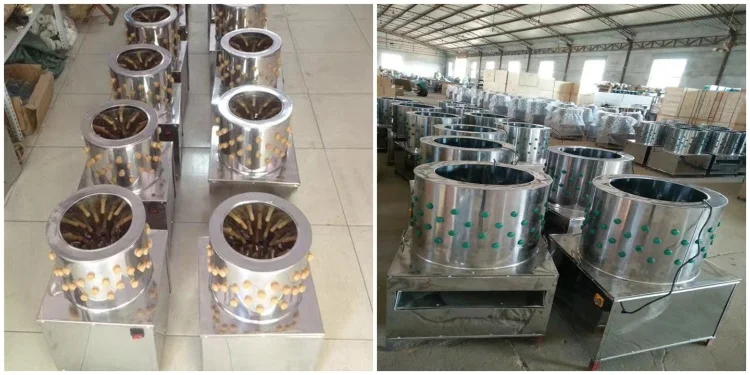 Commercial chicken feather plucking machine with motor core components for poultry feather removal