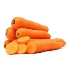 High Quality Carrots/ Wholesale Fresh Red Carrot Organic Fresh Carrots for Sale