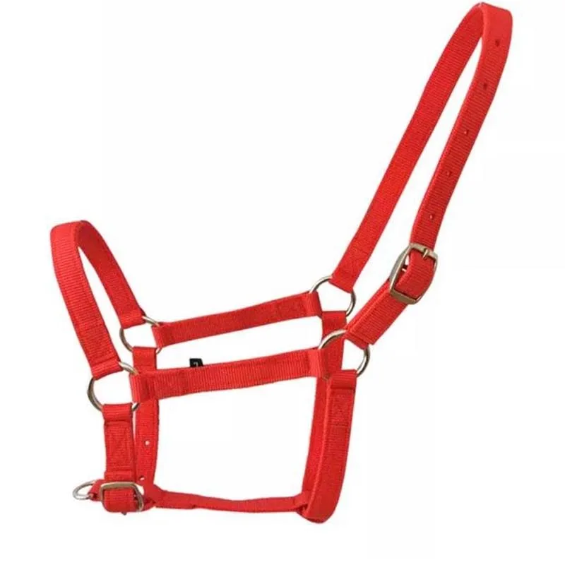 Latest Best 2023 Western Horse Halters Nylon Horse Halter Available In