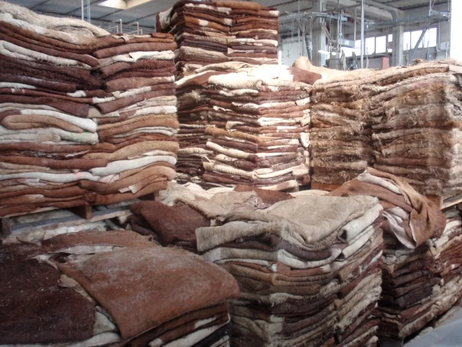 Bulk Wet Salted Cowhide Skin Wholesale Raw Cow Hide Split Buy Wet