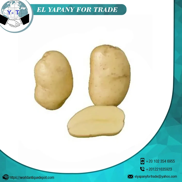 High Quality Frozen Potato New Crop Potato Frozen Vegetables Available