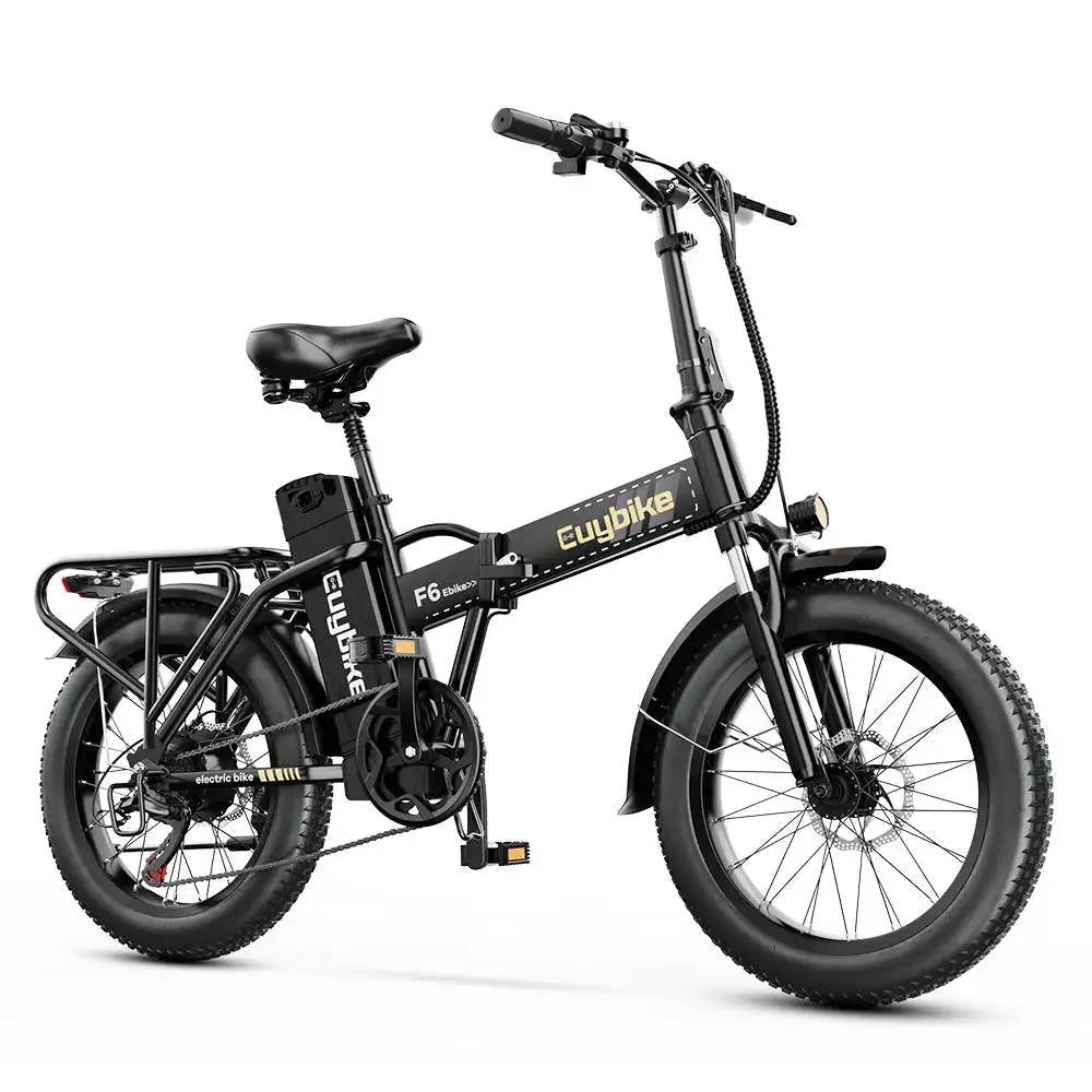 Euy F6 Long Range Electric Mountain Bike with Fat Tire Premium Electric Bike Product