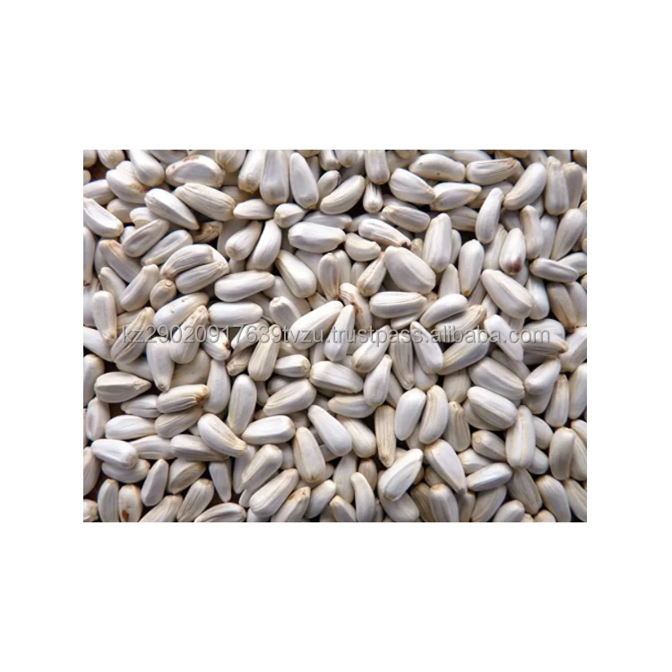 bulk safflower seeds