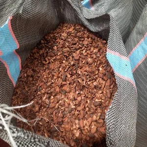 High Quality Roasted Cocoa Husk / Cocoa Shells for Organic Mulch Fertilizer & Animal Feed / Wholesale Price