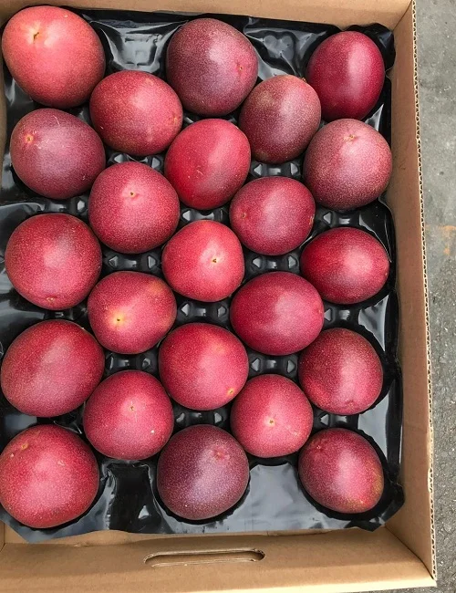 Foods Frozen Passion Fruit Bite Sized Pieces For Smoothies Buy Fruit