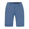 Gray Blue