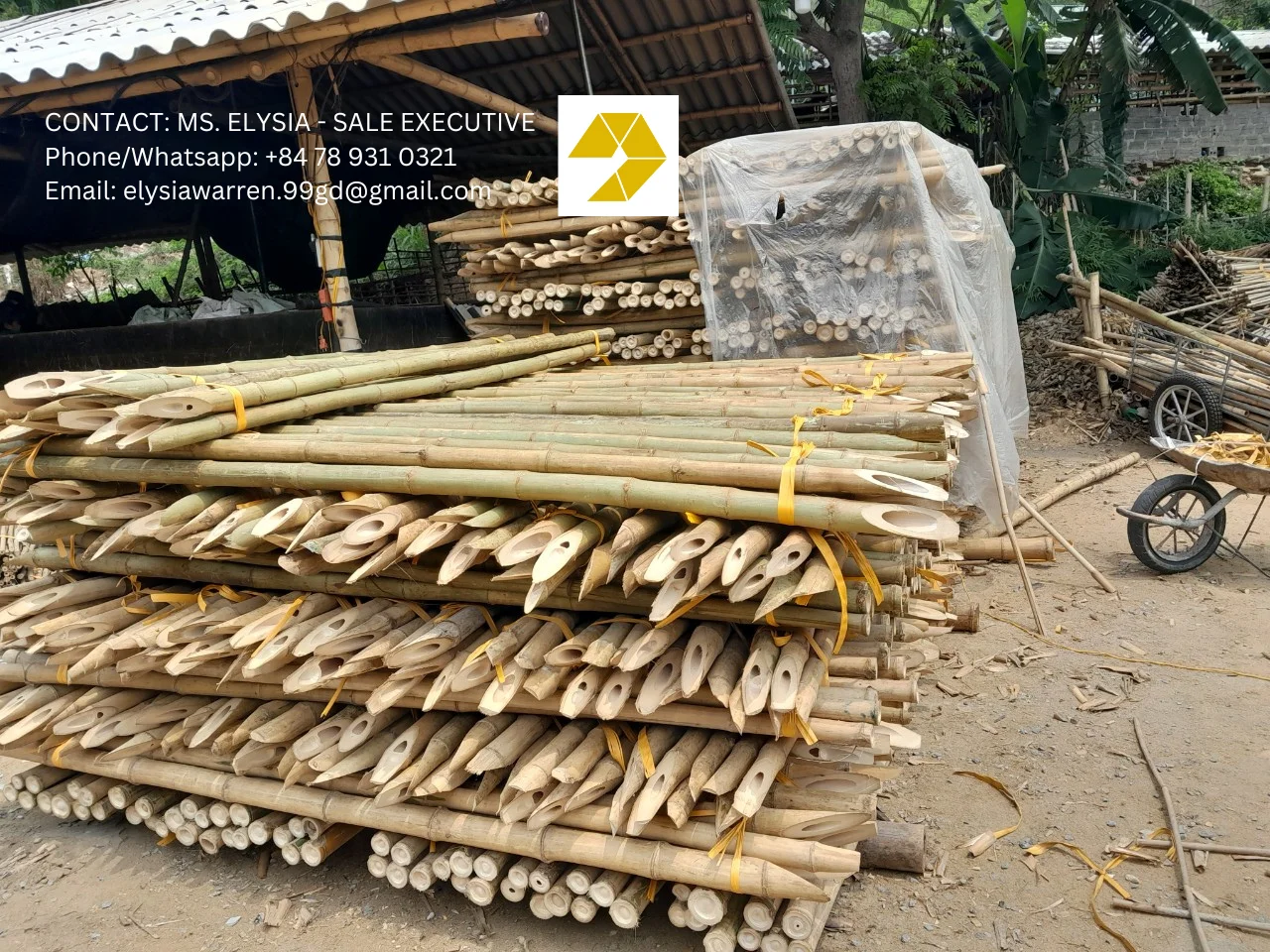 Bamboo Natural Bamboo/ Bamboo Cane From Eco-friendly Garden 99gd - Buy ...