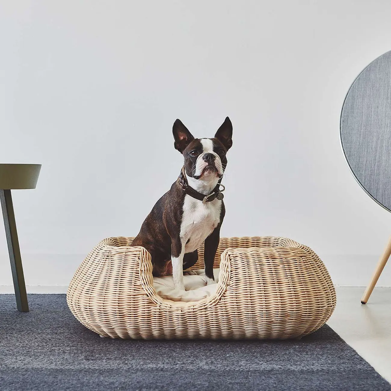 Modern Designer Rattan Dog Bed With Mattress Pillow Cheapest Rattan