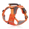 Arancione