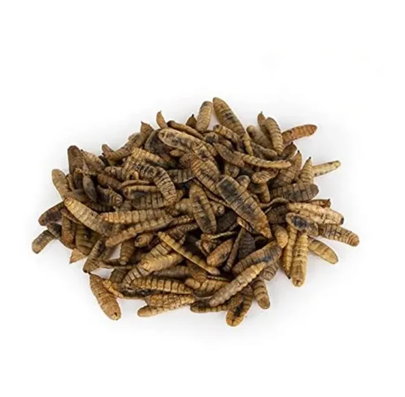 Wholesale Meal Worms Dried Poultry Feed Dried Mealworms Buy Meal Worms,Mealworm Meal Insect