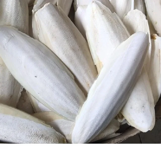 2024 Dried Cuttlefish Bone For Birds Food Cuttlebones Natural 100 Sun