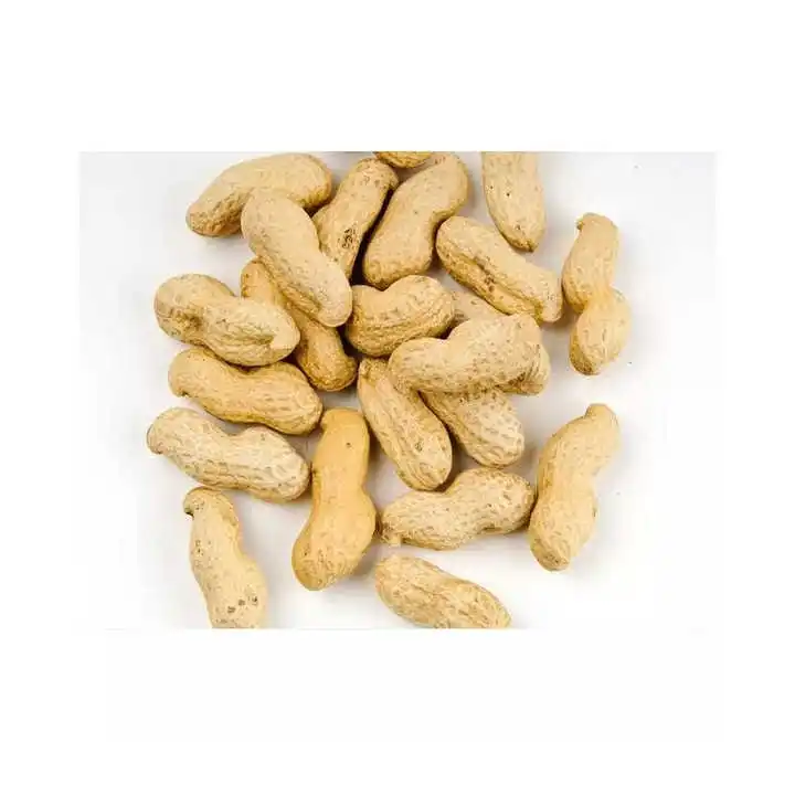 Premium Roasted Peanuts Irresistible Taste And Crunch In Every Bite