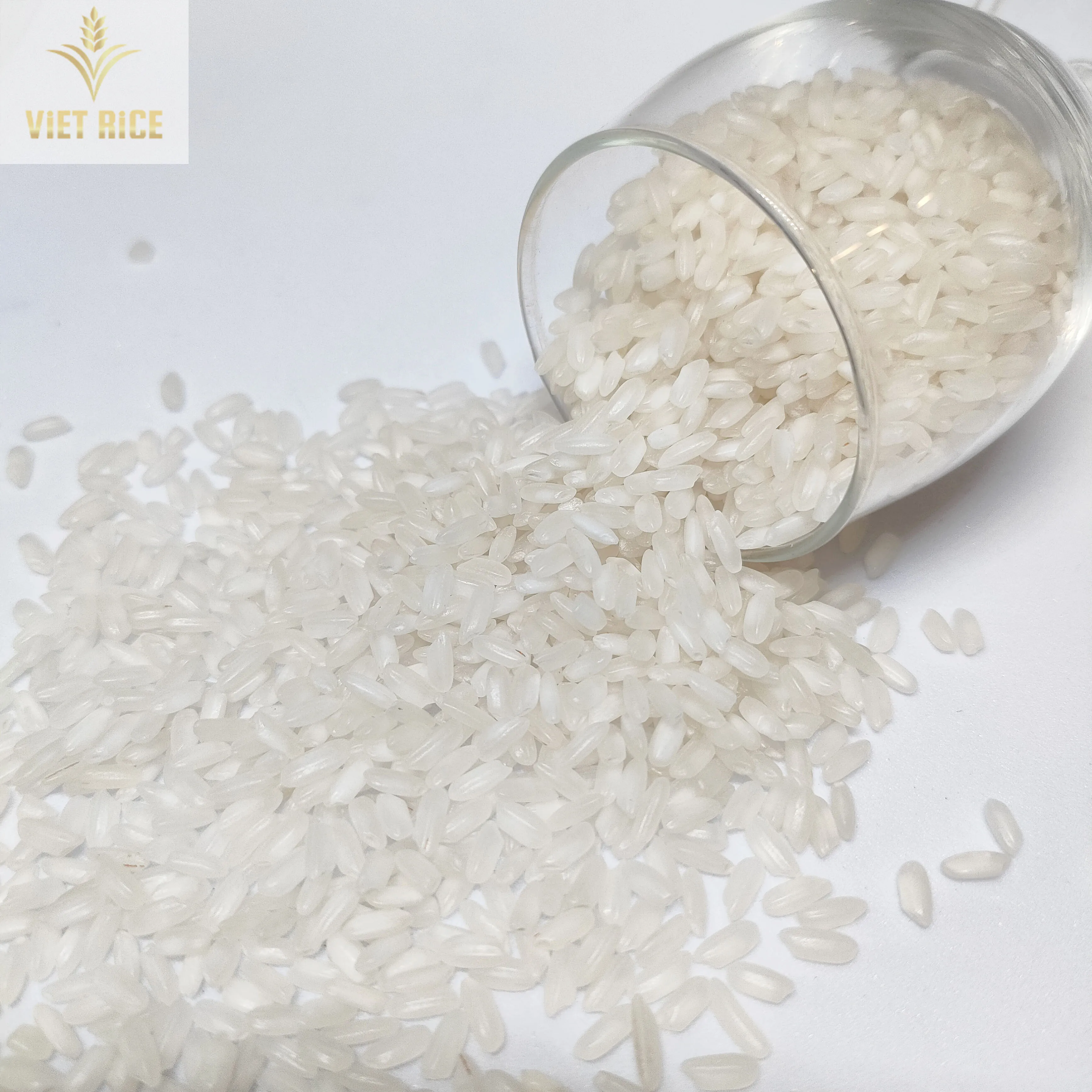 Vietnamese Rice - Camolino Rice - Medium Grain White Rice 5% Broken ...