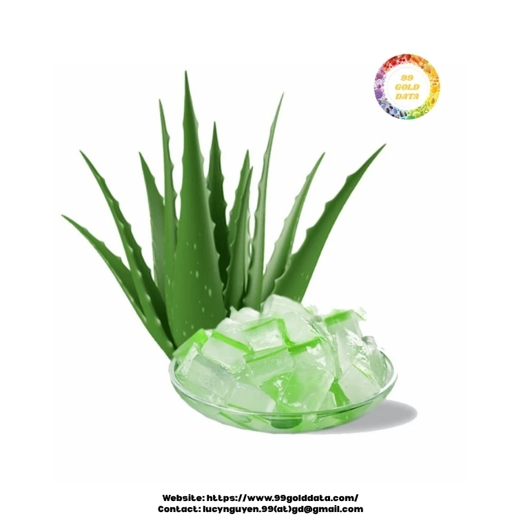 Natural frozen aloe vera processed and packed under hygiene standards for  beverage and personal care use