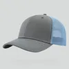 Light Gray & Blue