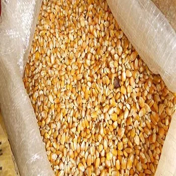 Yellow Corn / White Corn / Maize for Sale Yellow Corn Grade 1 Specification Wheat Grain for Animal Feed Grade