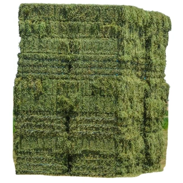 Top Quality Alfalfa Hay Feed Bales Packaging Cattle Horse Food Grade