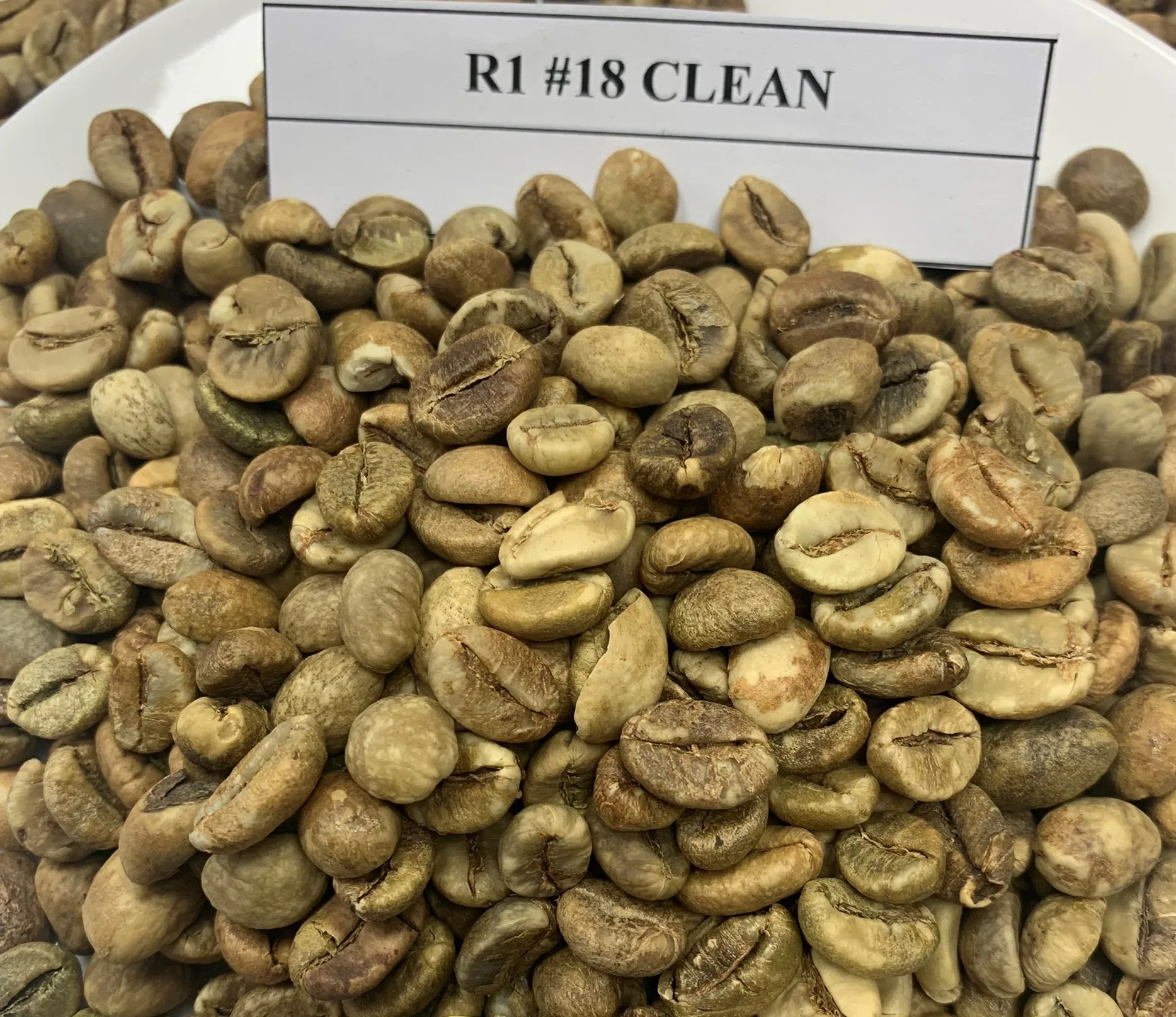 New Crop 2024 Vietnamese Green Coffee Beans High Quality Arabica