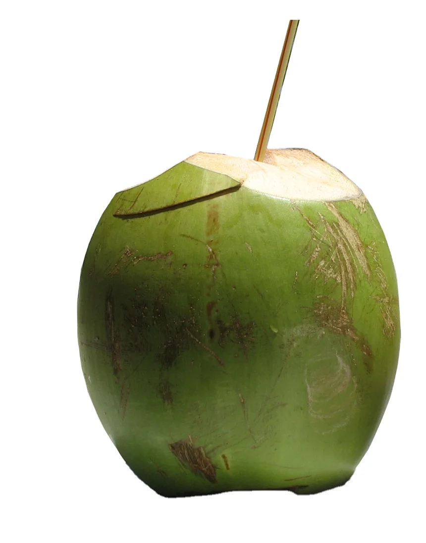 11 (1).png