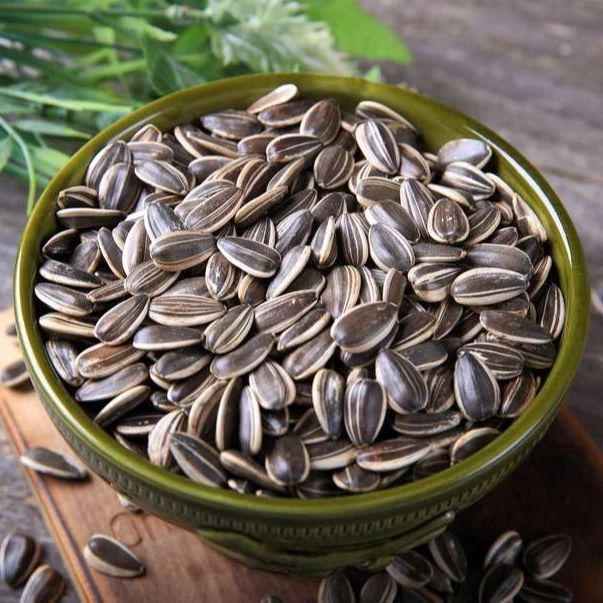 Южная Африка Non GMO гибридные Мега объемные семена подсолнечника большого