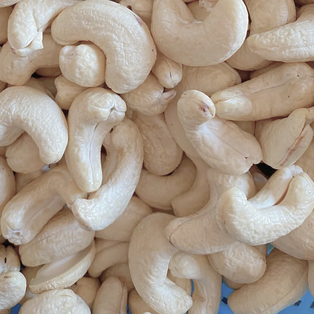 Wholesale High Quality Raw Cashew Nuts Raw Cashew Nut 2024 Export Cashew Nuts Ex