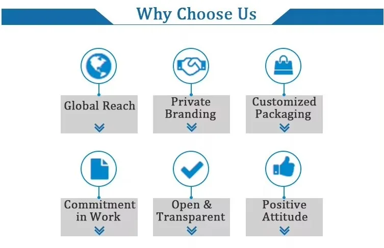 Limited Offer Mountain Bike Lightweight Aluminum Frame Outdoor Adventure Cycling Fitness Smooth Reliable Ride