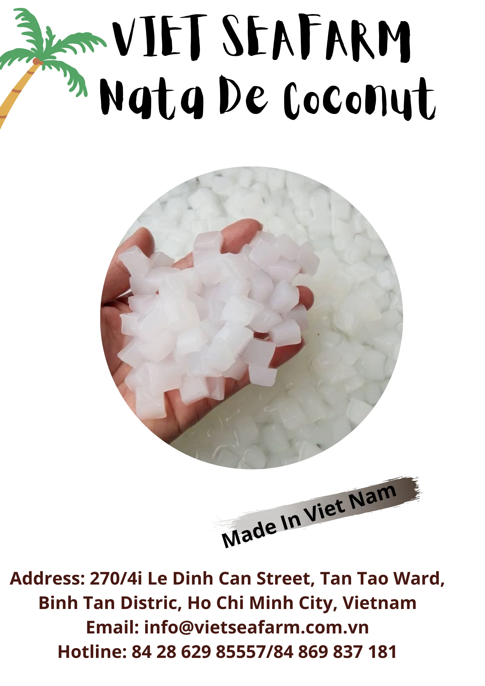 Nata De Coco Jelly Coconut High Quality Wholesale For Bubble Tea ...