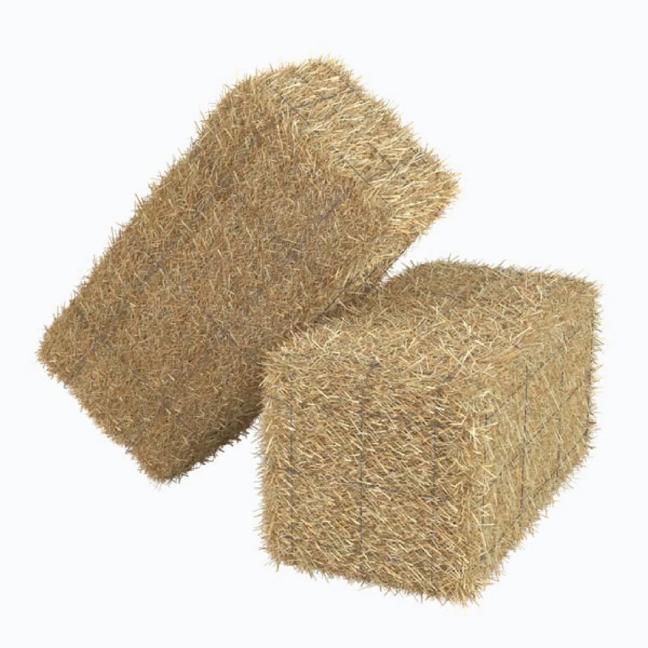 High Quality Natural Wheat Straw Bales Animal Feed Available For Sale