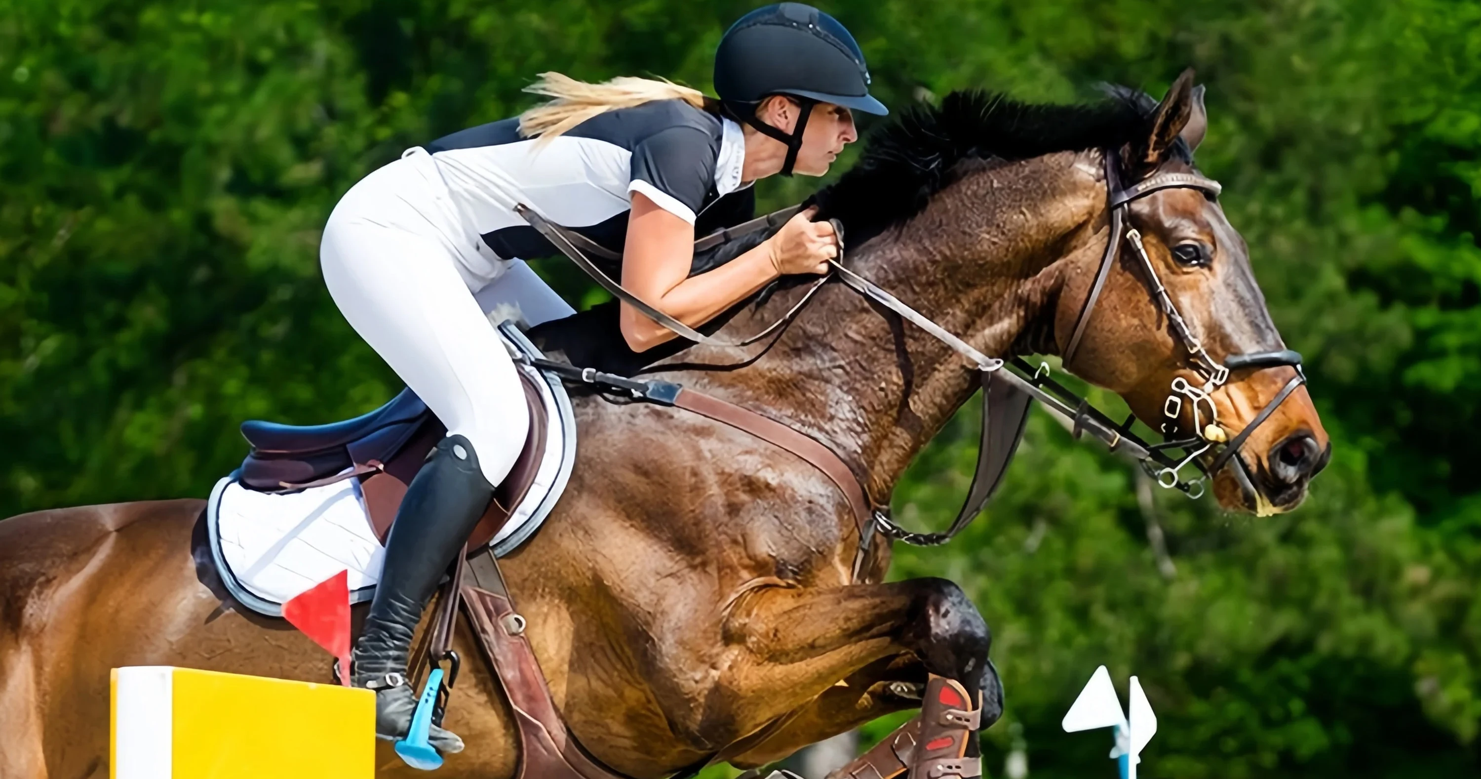 Saddle Ride Different Types Of Horse Riding Saddles In Brown Color 6 Best Selling ...