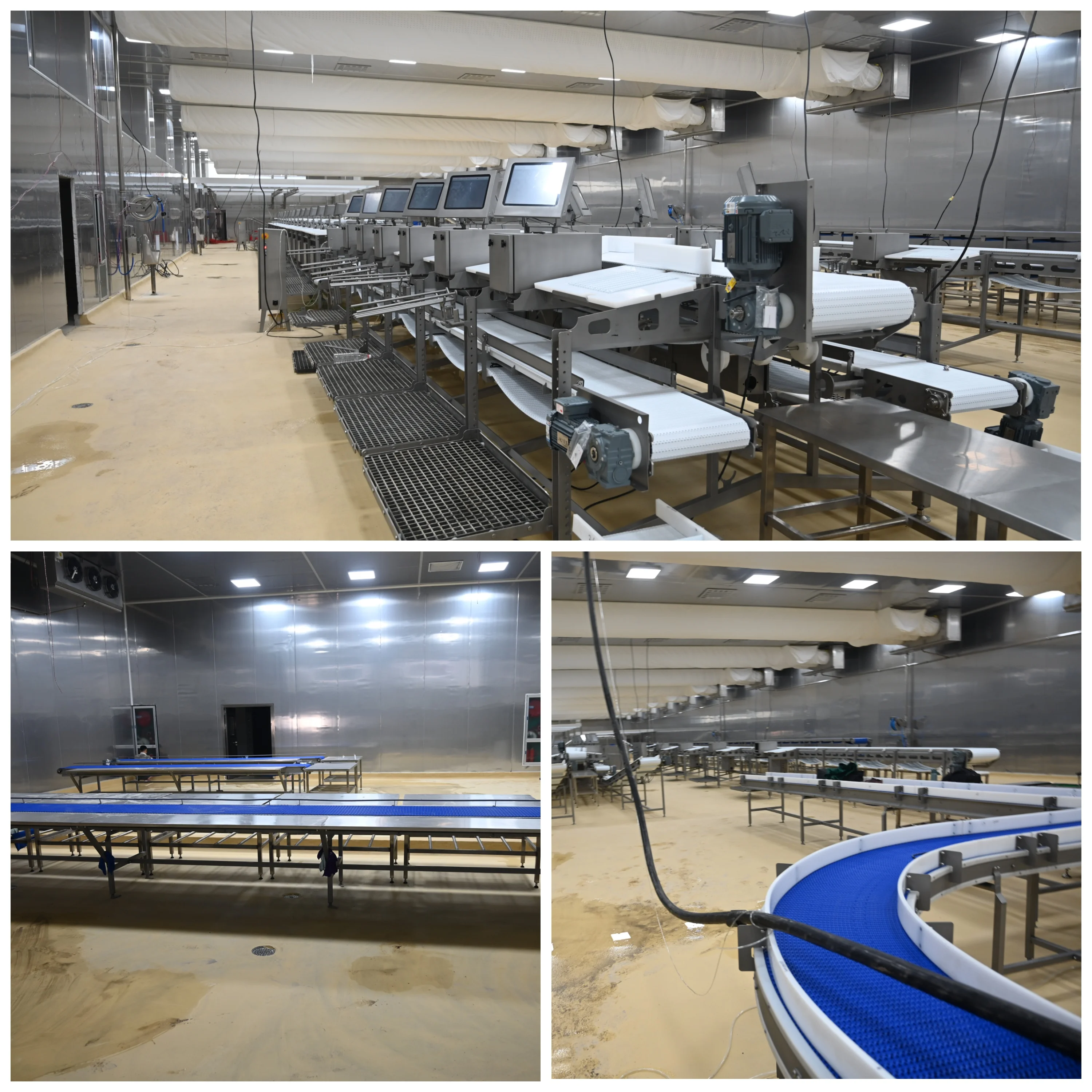 Customized Industrial High Humidity Low Temperature Thawing Machine for Core Meat Processing Lines