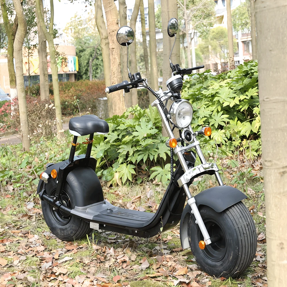 SC10 Electric Citycoco Scooter EEC
