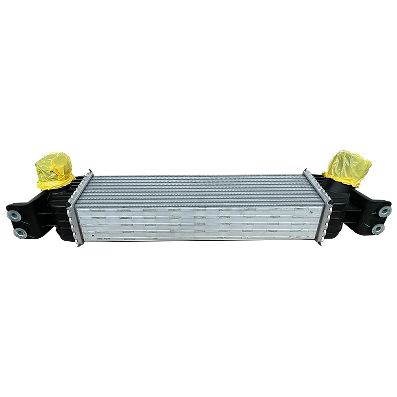 #C00016655 Excellent Cooling Capacity Original Offical Genuine Auto Body Parts  Maxus Car Intercooler Assembly supplier