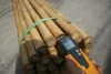 natural bamboo