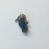 Labradorite