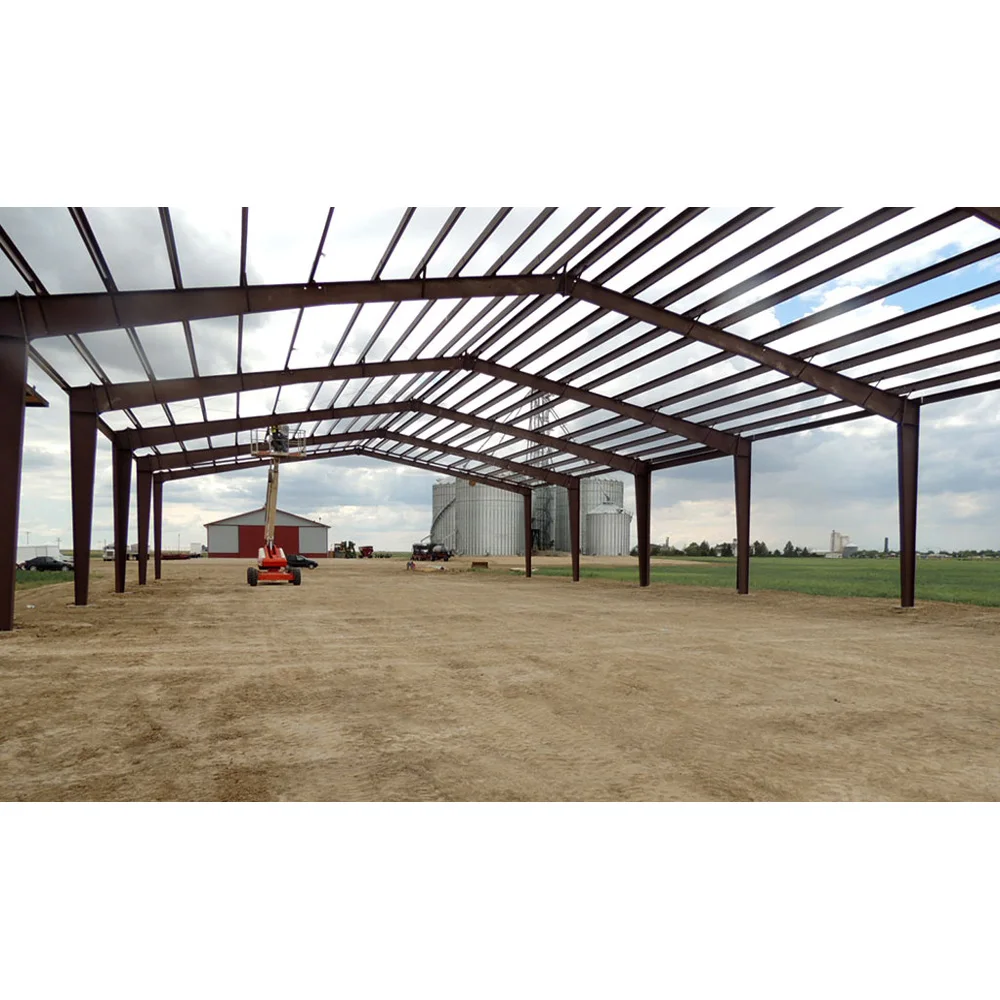 Mini Storage Building Project / Steel Self Buildings