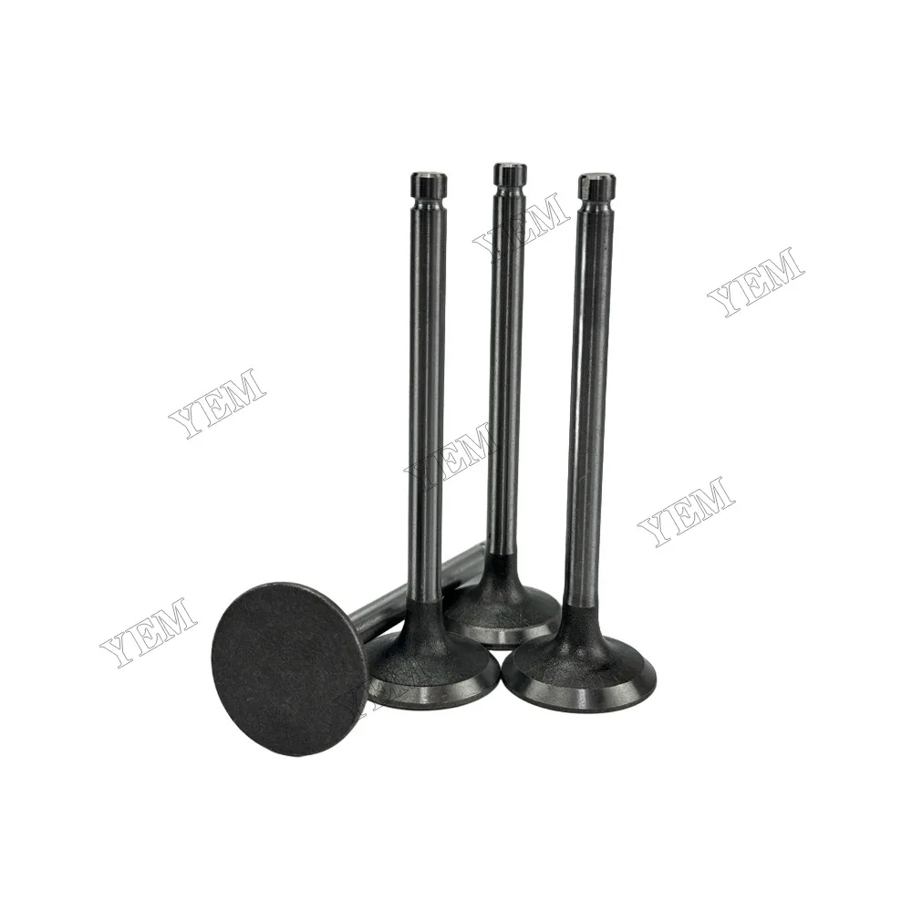 Intake Valve Fit for Laidong 4L22B Engine