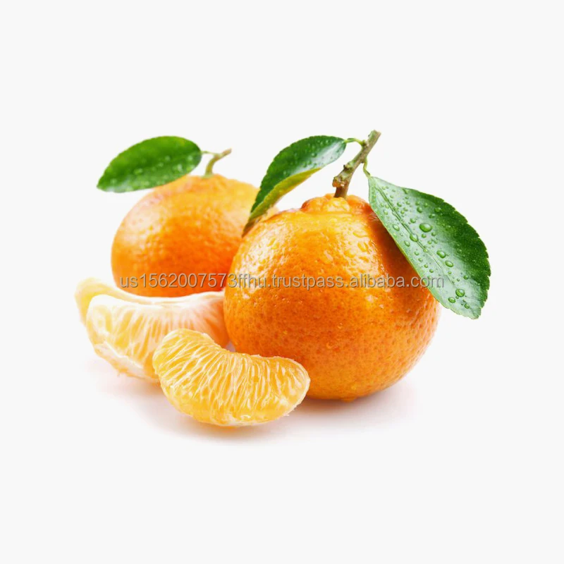 1-800x800.jpg