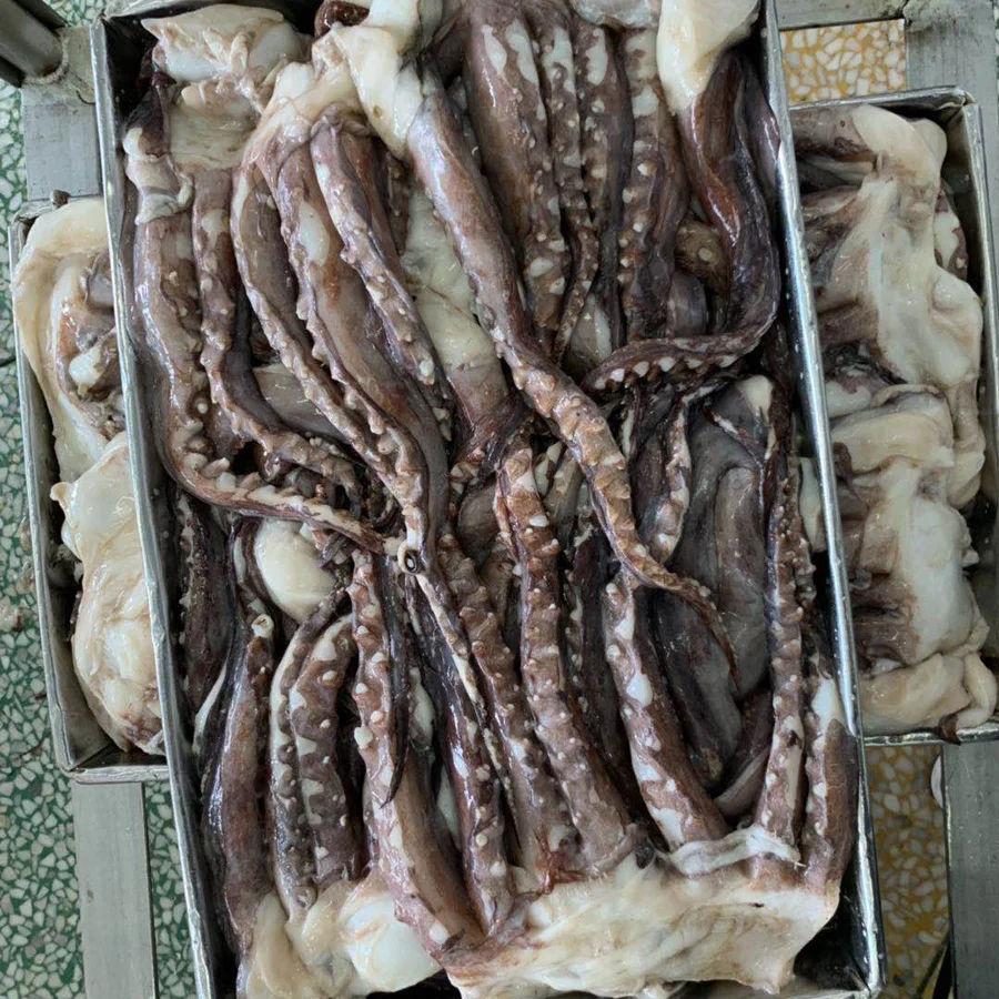 High Quality 10kg Frozen Peru Squid Tentacles Supplier Squid Tentacles  Giant Squid Tentacles Now Available For Bulk Orders - Buy Hot Fishing Block  Style Frozen Black Squid Frozen Pacific Squid W/r,Frozen Black