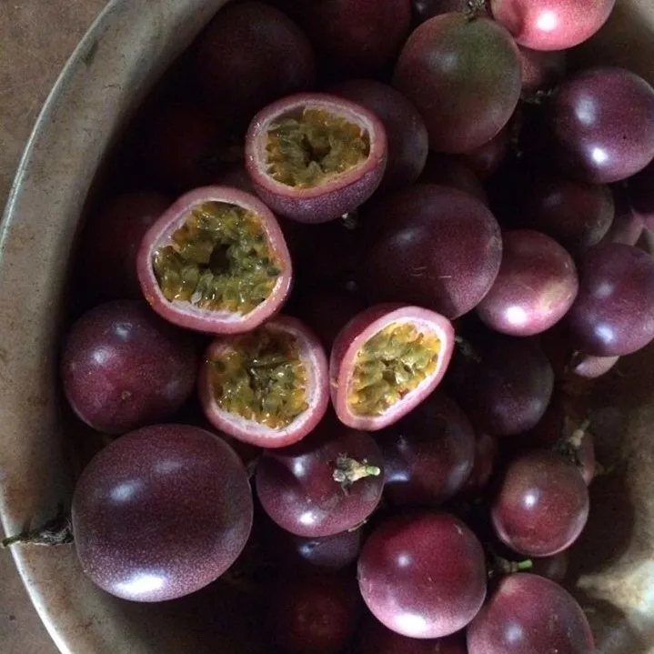 High Quality Dried Passion Fruit Exported From Vietnam Buy Passion