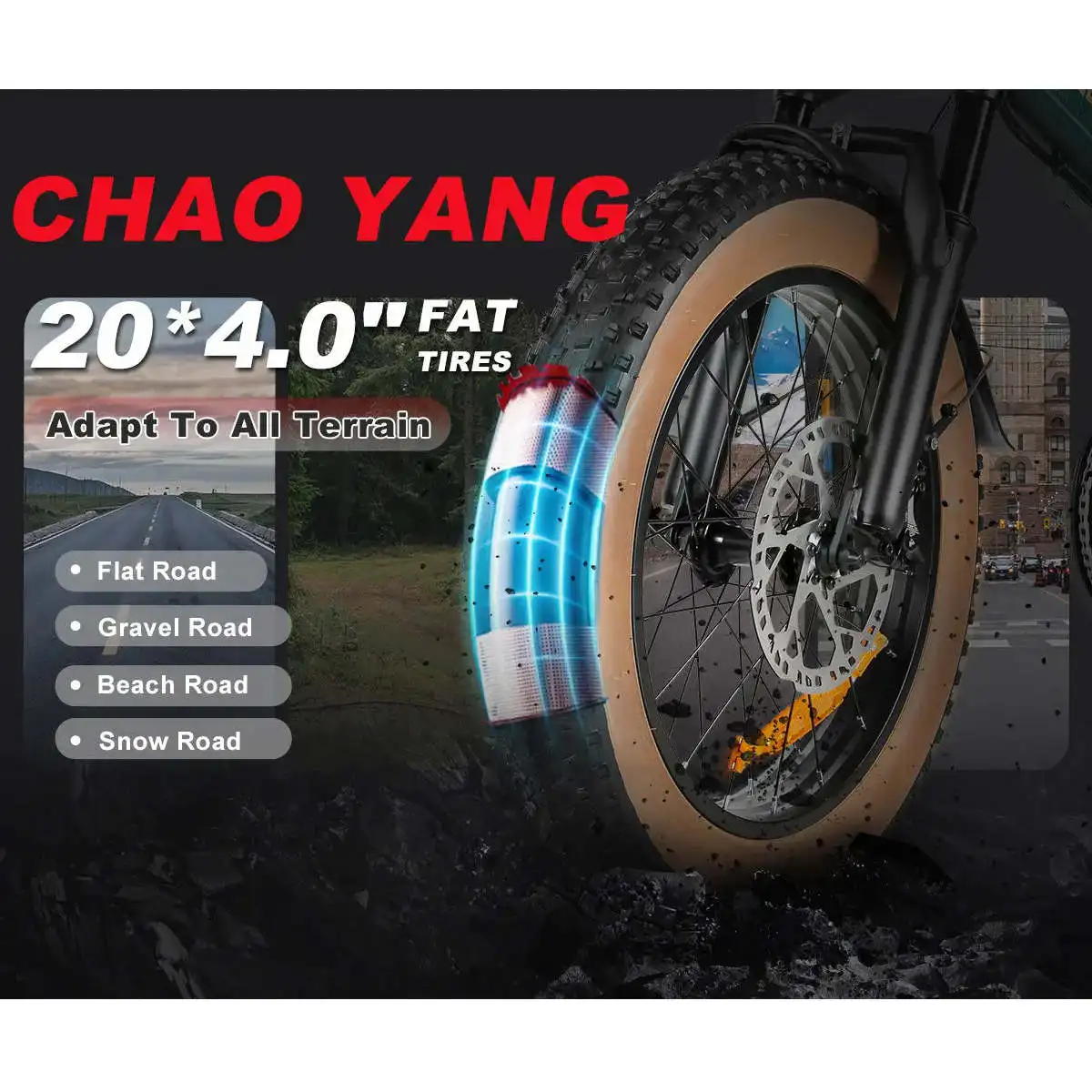 XWLX09-II 1000W Fat Tire Mountain E-Bike with 48v 15ah Battery Dual Suspension
