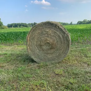 Pure Alfalfa & Timothy Hay for Horse & Cattle Feed Grade AA+ Bulk Packaging Wholesale Price