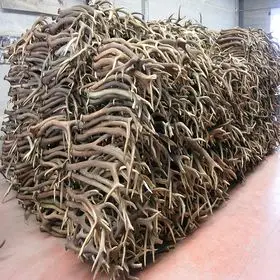 Red-Deer-Antlers-For-Sale.jpg