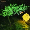 Albero di ciliegio verde (H:2,2 W:2,2 M)