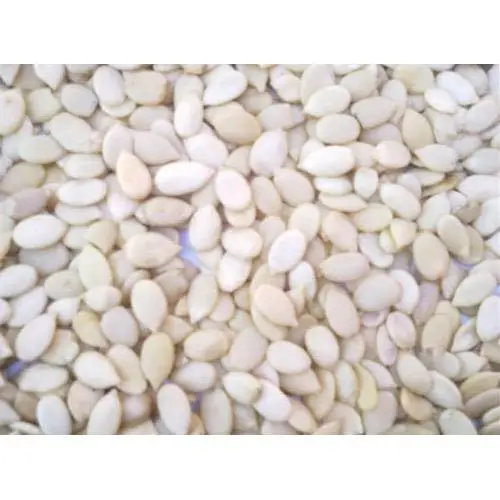 Price for Export Watermelon Seeds Kernel