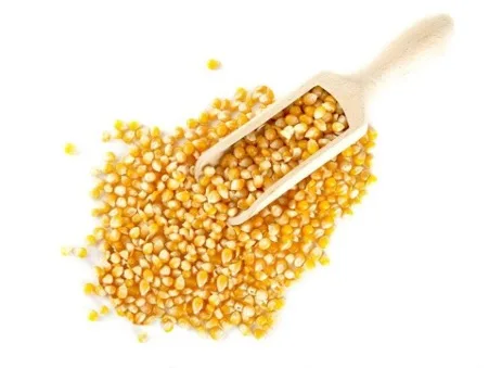 Organic Corn Non-GMO for Animal Feed Yellow Maize Wholesale Price