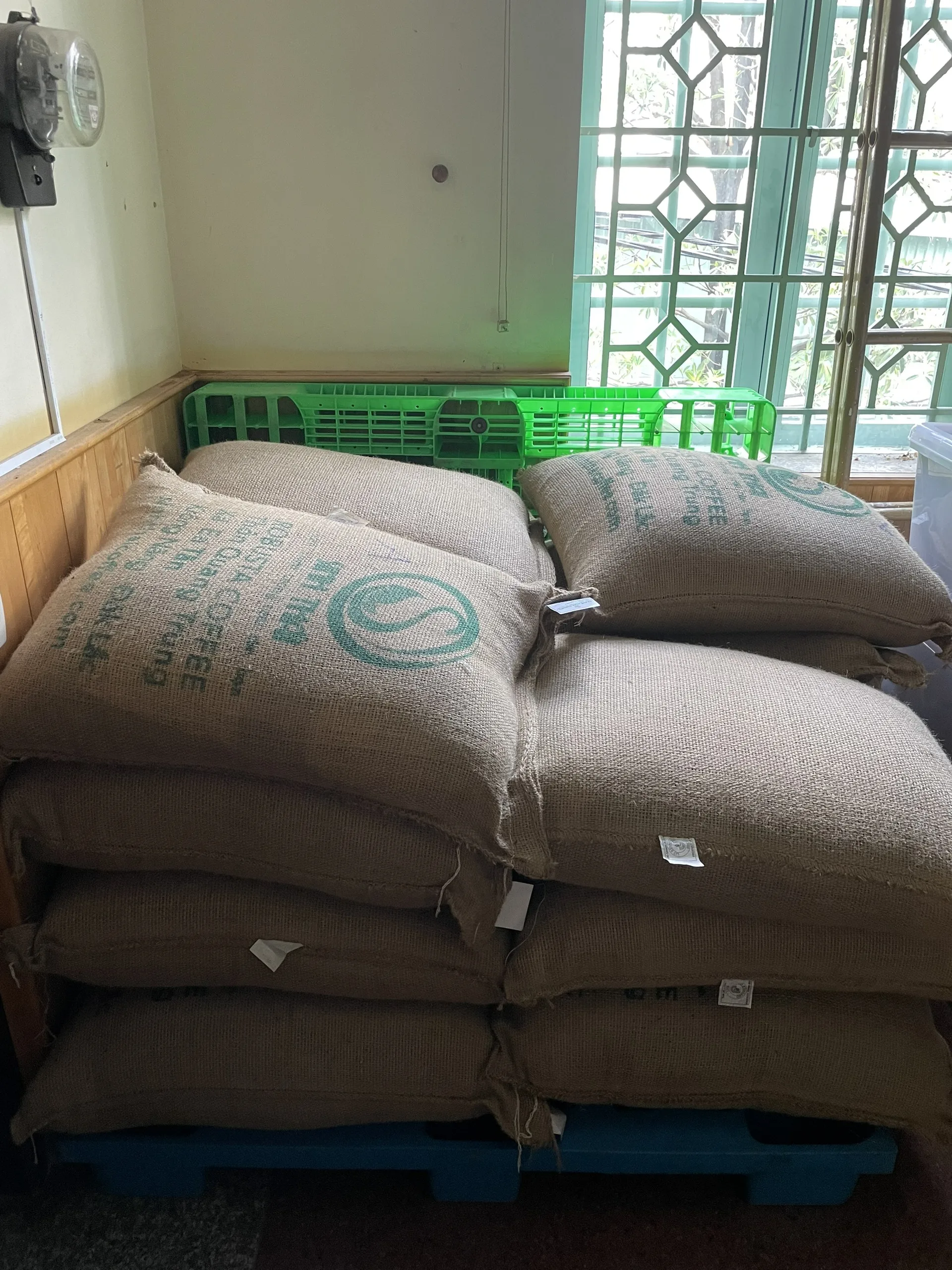 Arabica Catimor Professional Team Beans Vietnam Coffee Beans Cheap