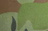 Camo 2