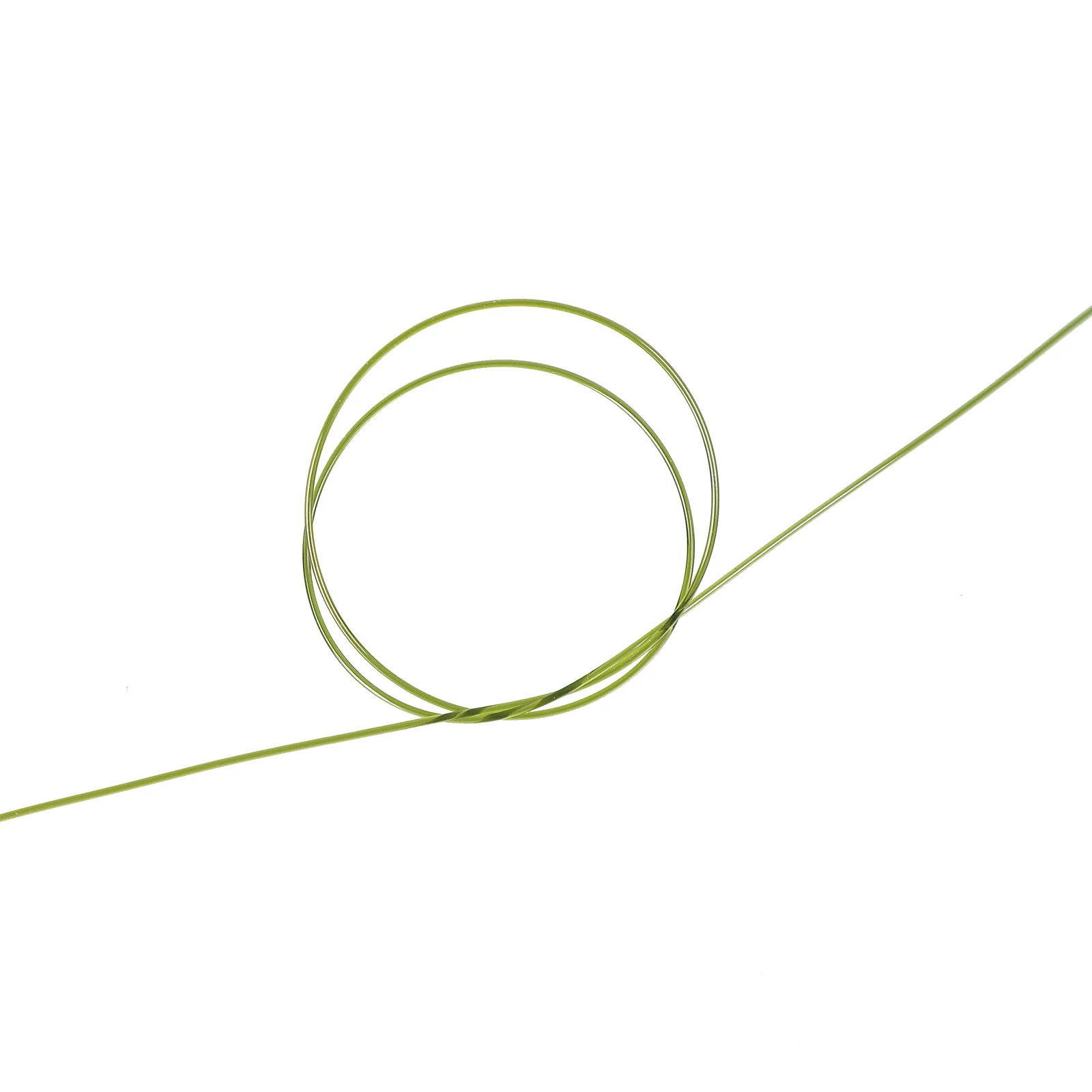 Feisida Fluorescent Nylon Carp Line